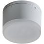 Downlight natynkowy APULIA AZ4334 3000K 1x10W/LED IP54 od AZzardo