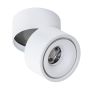 Downlight natynkowy COSTA AZ6031 3000|4000|6000 1x12W/LED 720lm IP20 od Azzardo