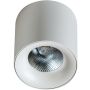 Downlight natynkowy MANE AZ4152 3000K 1x20W/LED IP20 od AZzardo
