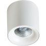 Downlight natynkowy MANE AZ4324 4000K 1x10W/LED IP20 od AZzardo