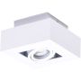 Downlight natynkowy NIKEA AZ4431 1x50W/GU10 IP20 od AZzardo