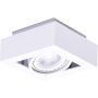 Downlight natynkowy NIKEA AZ4437 1x16W/ES111 IP20 od AZzardo
