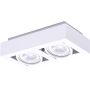 Downlight natynkowy NIKEA AZ4440 2x16W/ES111 IP20 od AZzardo