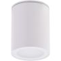 Downlight natynkowy PAPIKO AZ4217 1x50W/GU10 IP65 od AZzardo