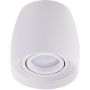 Downlight natynkowy ROTONDO AZ4207 1x50W/GU10 IP20 od AZzardo