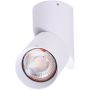 Downlight wpuszczany SANTOS AZ4200 1x50W/GU10 IP20 od AZzardo