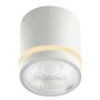Downlight natynkowy VICI AZ6040 3000|4000|6000 1x12W/LED 720lm IP44 od Azzardo
