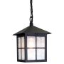 Lampa ogrodowa wisząca BL18B BLACK WINCHESTER od Elstead Lighting