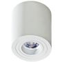 Downlight natynkowy BRANT AZ2818 1x50W/GU10 od AZzardo
