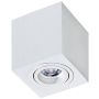 Downlight natynkowy BRANT AZ2824 1x50W/GU10 od AZzardo