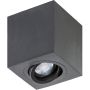 Downlight natynkowy BRANT AZ2825 1x50W/GU10 od AZzardo