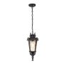 Lampa ogrodowa wisząca BT8/M BALTIMORE od Elstead Lighting