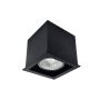Downlight natynkowy Cage 1078 1x10W/GU10 IP20 od Antigo