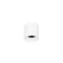 Downlight natynkowy Altisma CLN-6677-75-WH-3K 3000k 1x10W/LED 1100lm IP20 od Italux