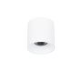 Downlight natynkowy Altisma CLN-6677-95-WH-3K 3000k 1x15W/LED 1650lm IP20 od Italux