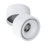 Downlight natynkowy COSTA AZ2856 3000K 1x12W/LED 885lm od AZzardo