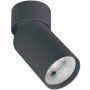 Downlight natynkowy CEILING SPOT S124 1x40w/GU10 IP20 od Zambelis