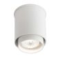 Downlight natynkowy Iga 7014 1x10W/GU10 IP20 od Shilo