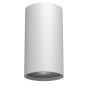 Downlight natynkowy Point 1253 1x10W/GU10 IP20 od Antigo