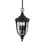 Lampa ogrodowa wisząca FE/EB8/M BLK ENGLISH BRIDLE od Feiss