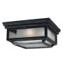 Lampa ogrodowa sufitowa FE/SHEPHERD/F SHEPHERD od Feiss