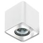 Downlight natynkowy NINO
 AZ0735 1x50W/GU10 od AZzardo