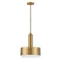 Lampa wisząca Cedric HK-CEDRIC-P-M-BR 2x60W/E27 IP20 od Hinkley Lighting