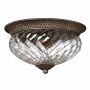Plafon HK/PLANT/F/L PZ PLANTATION od HINKLEY Lighting