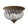 Plafon HK/PLANT/F/S PZ PLANTATION od HINKLEY Lighting