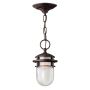 Lampa ogrodowa wisząca HK/REEF8 VZ REEF od Hinkley Lighting