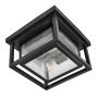 Lampa sufitowa Republic HK-REPUBLIC-F-BK 2x40W/E27 ip44 od Hinkley