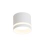 Downlight natynkowy Kendal LP-6331/1SM R1 WH 1x7W/GX53 IP20 od Light Prestige