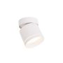 Downlight natynkowy Kendal LP-6331/1SM R1 WH movable 1x7W/GX53 IP20 od Light Prestige