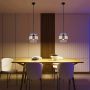 Lampa wisząca Miele LP-866/1P SM/GD 1x60W/E27 IP20 od Light Prestige