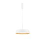 Lampa wisząca CARACOLLO LE44813 3000k 1x40W/led IP20 3111lm od Luces Exclusivas