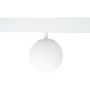 Reflektor szynowy MAX M0044N 3000k 1x5.4w/led 334lm ip20 od Maxlight