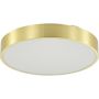 Plafon NADI MS724-R400-GD 3000-6000k 1x36W/LED 1900lm ip44 od Zuma Line