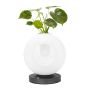 Lampa stołowa BOTANICA MT80531-1-1-200 3000K 1x0,5W/LED 460lm IP20 od King Home