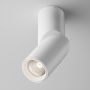 Spot Dafne C027CL-L10W4K 4000K 1x10W/LED 1060lm IP20 od Maytoni