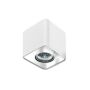 Downlight natynkowy NINO
 AZ0598 1x50W/GU10 od AZzardo