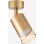 Spot REN OB-2211BD-1-GLD 1x50W/GU10 od Zuma Line