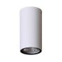 Downlight natynkowy Fano OPN-2002-4K 4000K 1x3W/LED 255lm IP54 od Italux