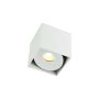 Downlight natynkowy Cardi I OR84610 1x8W/Gu10 od Open Design Highlights