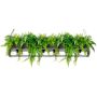 Lampa wisząca SEMIRA INDUSTRIAL OSW001005 6x40W/E27 IP20 od King Home