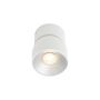 Spot PITCHER 2310400101 1x10W/GU10 IP20 od Nordlux