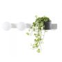 Kinkiet BOTANICA DECO 20852201 2x9W/E14 IP20 od Kaspa
