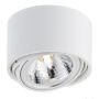 Downlight natynkowy LUMOS 70251101 1x9W/G9 IP20 od Kaspa
