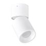 Downlight natynkowy NIXA 314239 10W LED IP20 od Polux