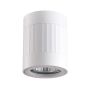 Downlight natynkowy RUBIN PASKI 319845 10W LED IP20 od Polux