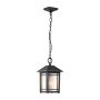 Lampa wisząca Cedar Point QZ-CEDAR-POINT8-M-BK 1x60W/E27 IP44 od Quoizel